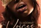 Dj Ademar - Voices