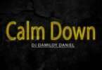 Dj Damiloy Daniel - Calm Down (feat. Rema)