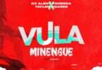 DJ Aleny Fonseca – Vula Minengue (feat. Tayler Soares)