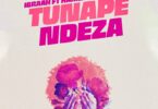 Ibraah - Tunapendeza (feat. Harmonize)