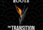 Afrikan Roots - Transitions