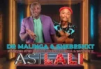 Dr Malinga & Shebeshxt – Asilali (feat. Seven Step, Lebza Mfana, NaQua & 1st Lady K)