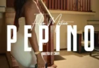Flow Motion – Pepino