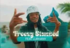 Freezy Stunned – Vida Malandra (feat. Lurhany)